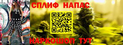 ешки Новоалтайск