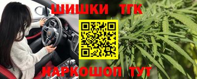 прущие грибы Новоалександровск