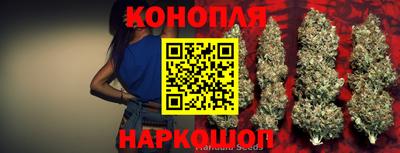 прущие грибы Новоалександровск