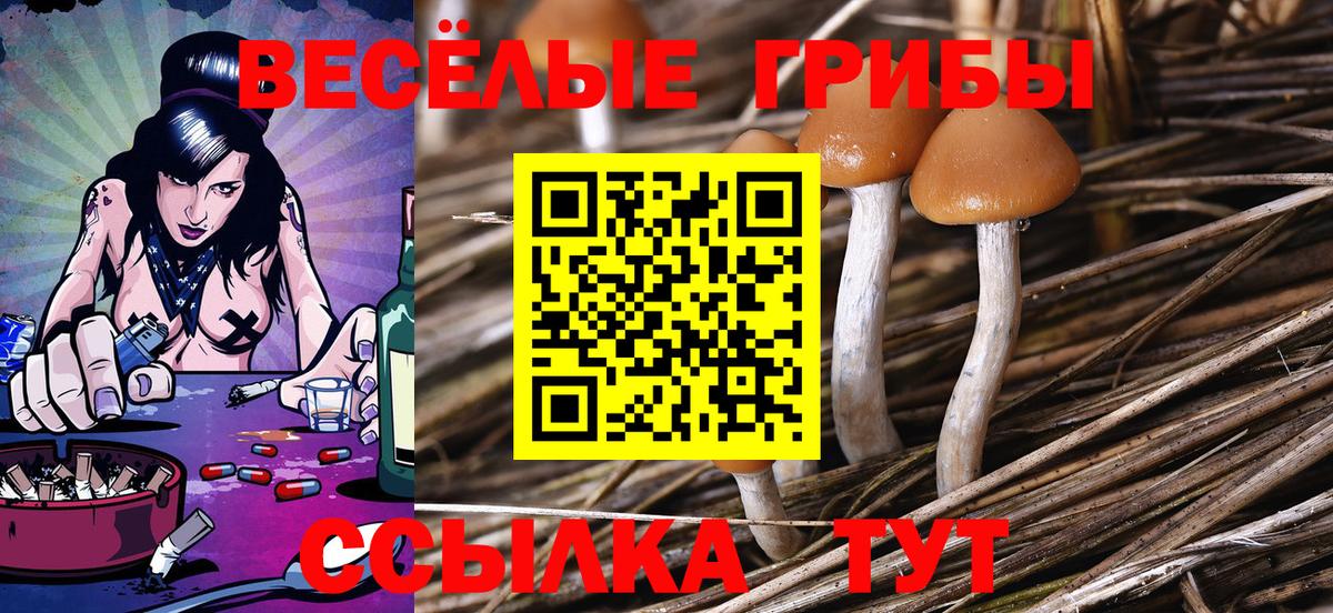 Корсаков  Псилоцибиновые грибы GOLDEN TEACHER  Вход с VPN 